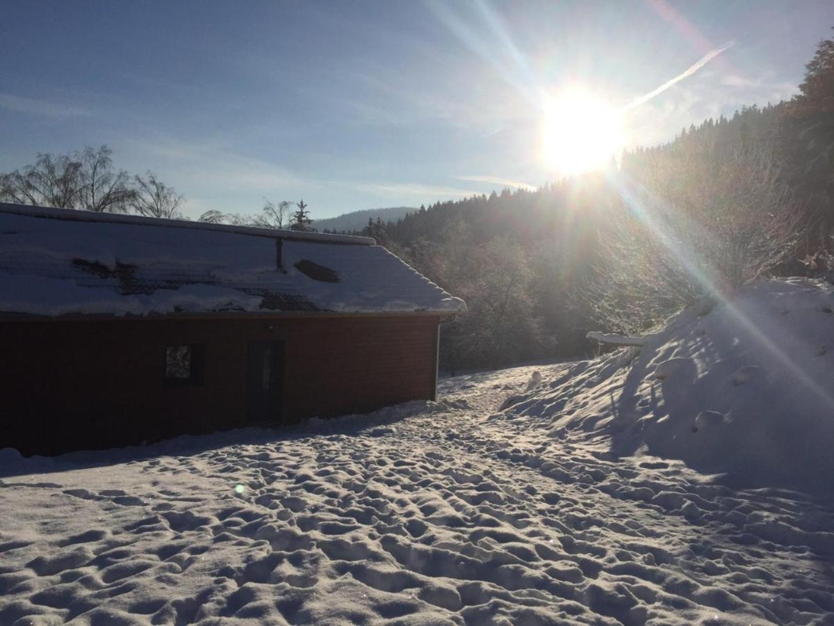 Chalet A L'Oree Du Bois لو ثولي المظهر الخارجي الصورة